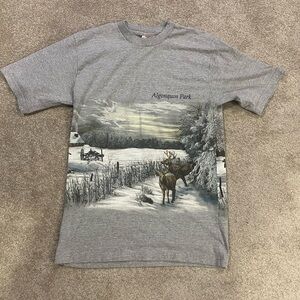Gray Algonquin Park Graphic T-Shirt